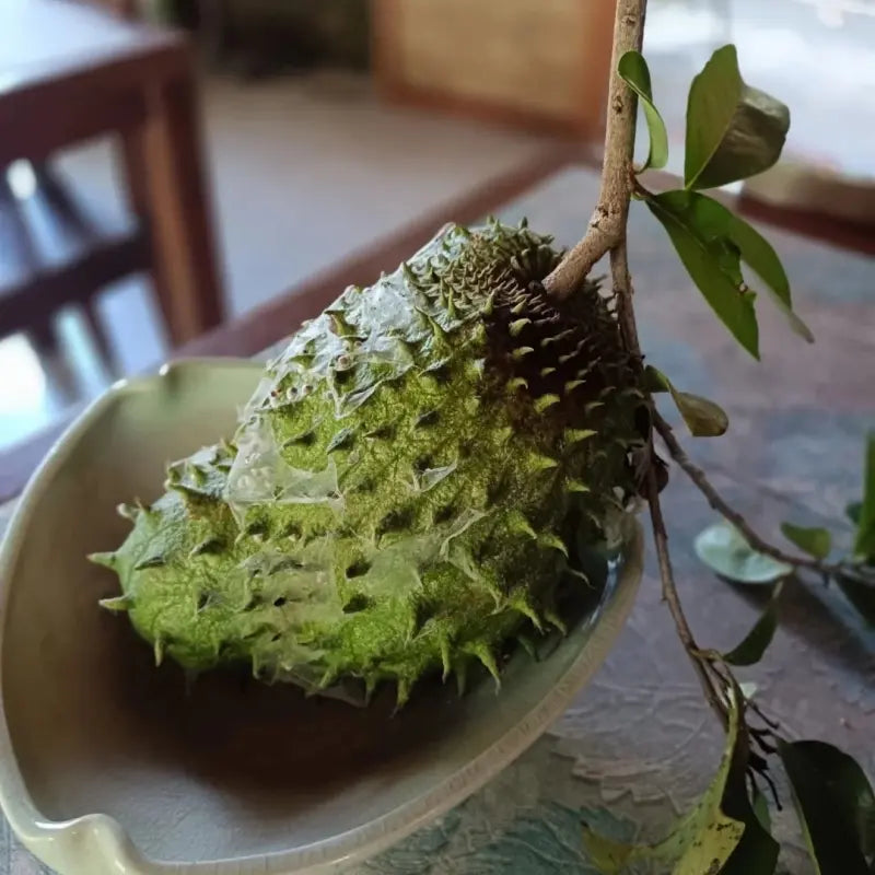 Soursop Seeds