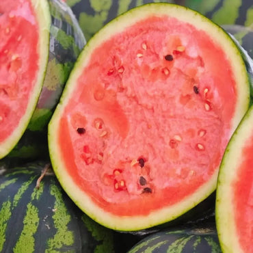 American Sweet King Watermelon Seeds - Verdseeds