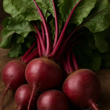 Beet Seeds - Verdseeds