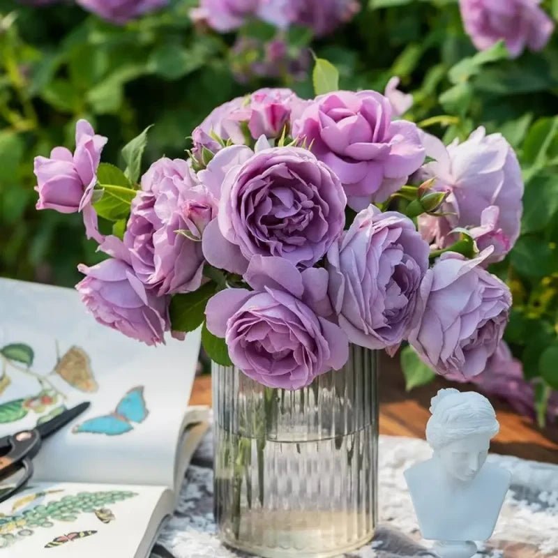 Blue Storm Garden Rose Seeds - Verdseeds