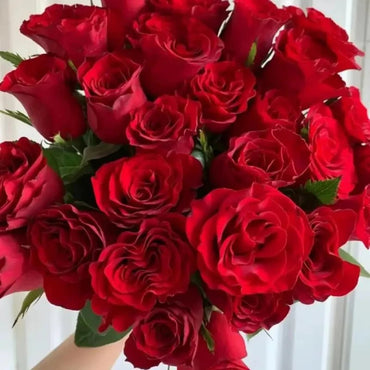 Carola Rose Seeds - Verdseeds
