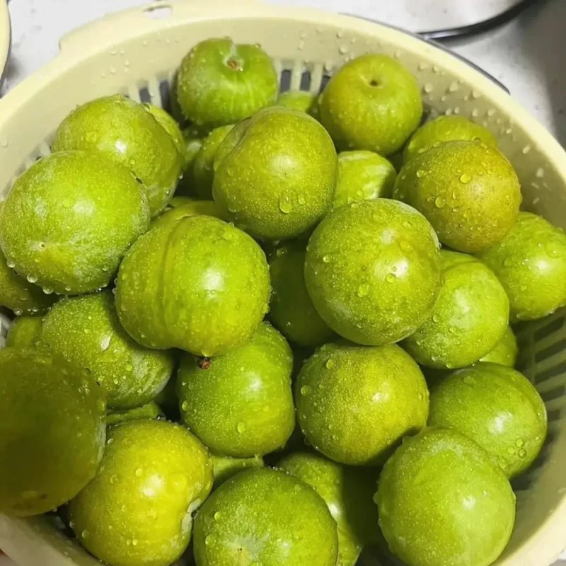 Crisp Plum Seeds - Verdseeds