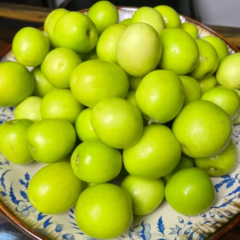 Indian Jujube Seeds