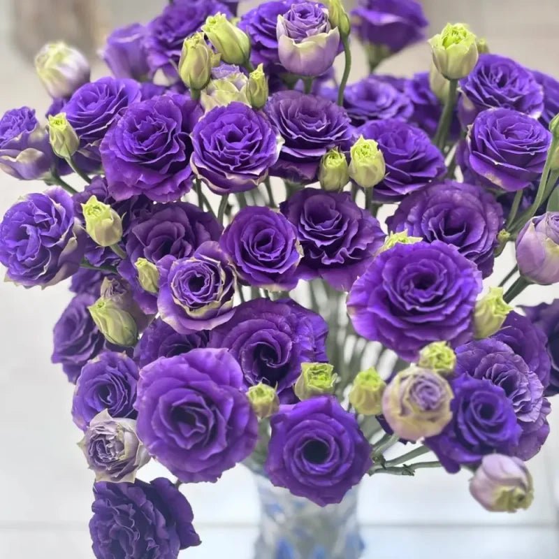 Deep Purple Lisianthus Seeds - Verdseeds