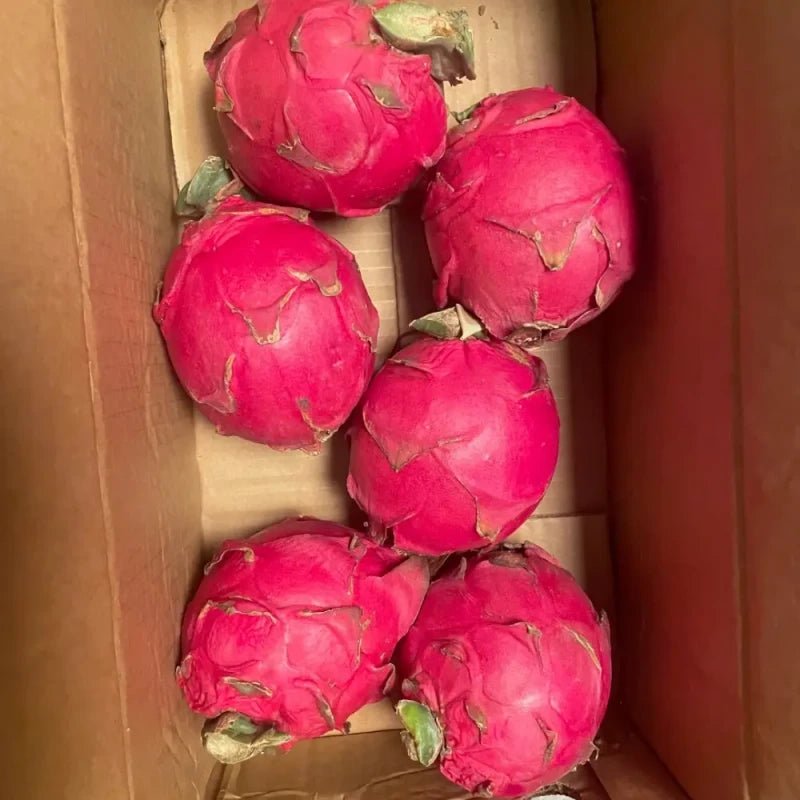 Dragon Fruit Seeds - Verdseeds