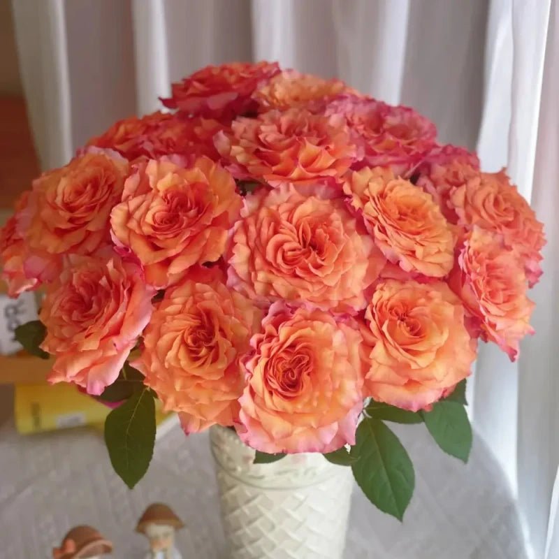 Firebird Garden Rose Seeds - Verdseeds