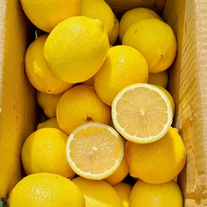 Yellow Lemon Seeds