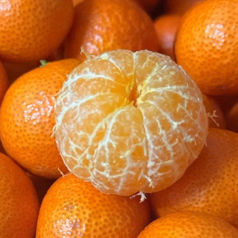 Mandarin Orange Seeds