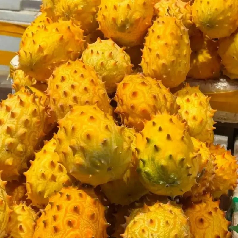 Kiwano Seeds