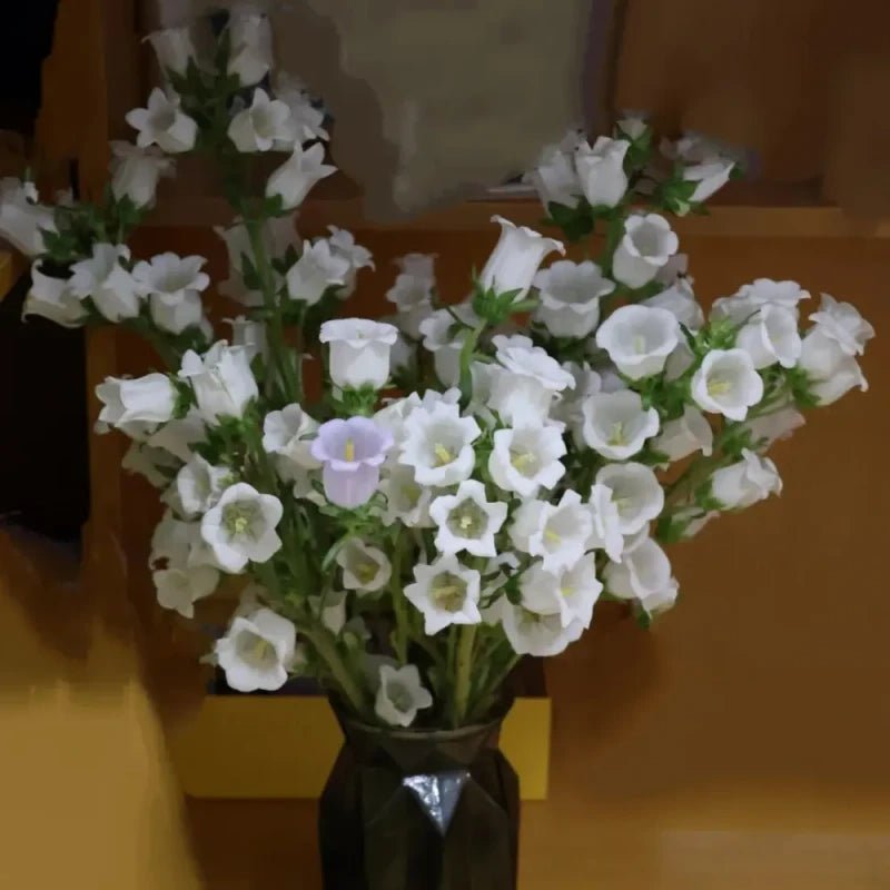 Single White Bellflower Seeds - Verdseeds