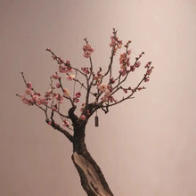 Red Flowering Plum Seeds