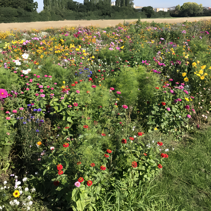 Wildflower Seeds - Rustic Charm Mix Includes Incarvillea Delavayi, Chelidonium Majus, Eryngium, etc.