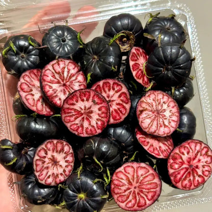 Red-Fruit Ginseng Seeds