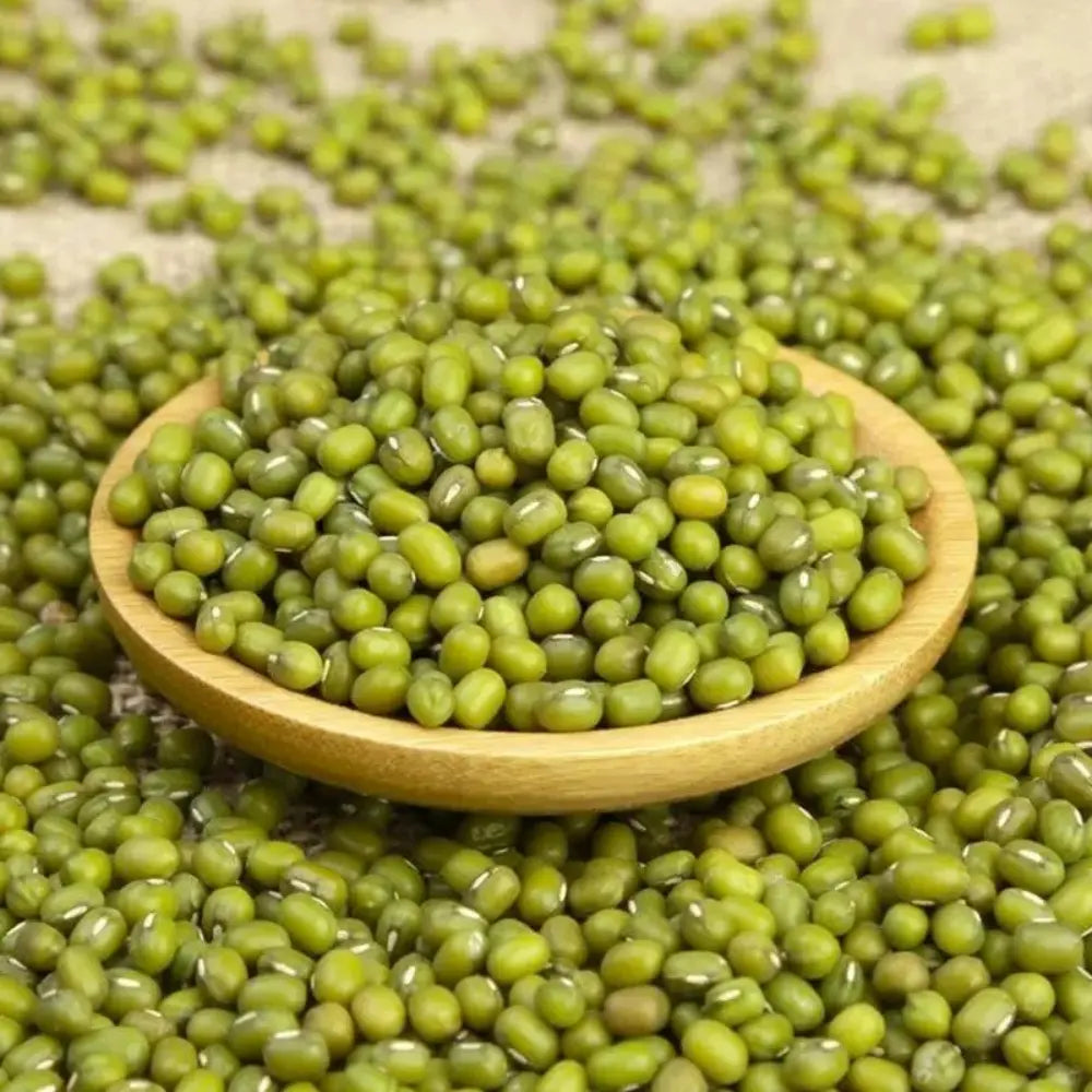 Mung Bean Seeds