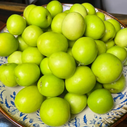 Indian Jujube Seeds