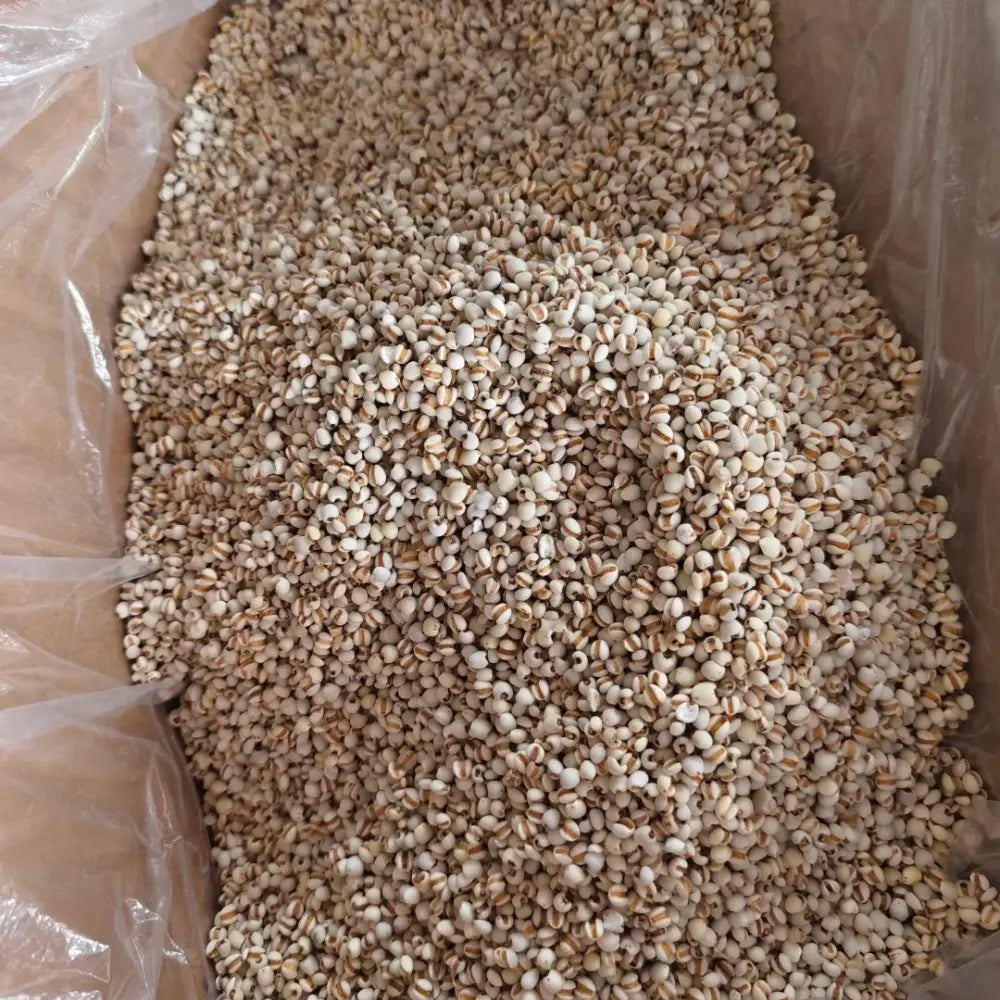 Job's Tears Seeds