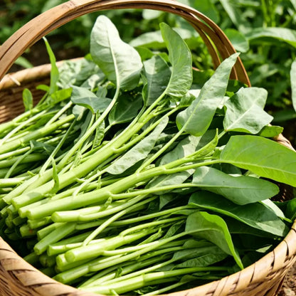 Water Spinach Seeds