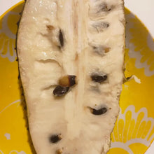 Soursop Seeds