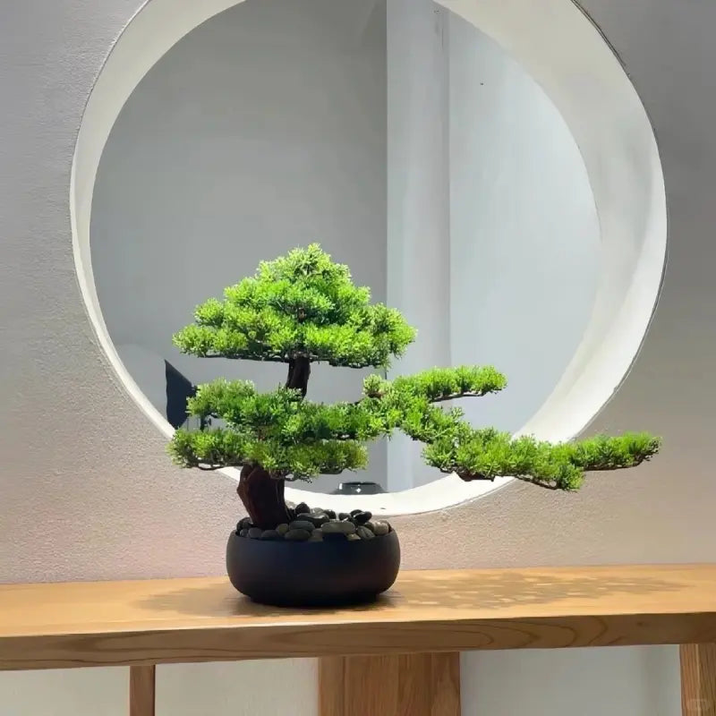 Buddhist Pine Seeds