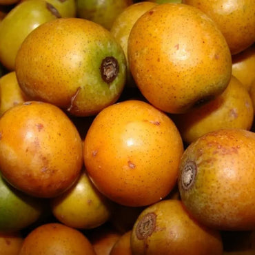 Ambarella Seeds - Verdseeds