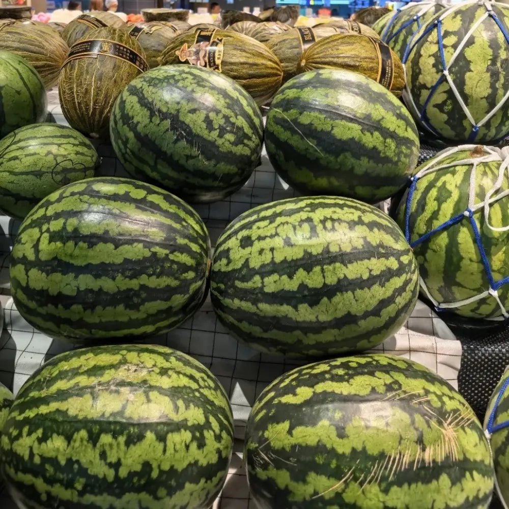 American Heavy Cropping King Watermelon Seeds - Verdseeds