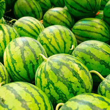American Sweet King Watermelon Seeds - Verdseeds
