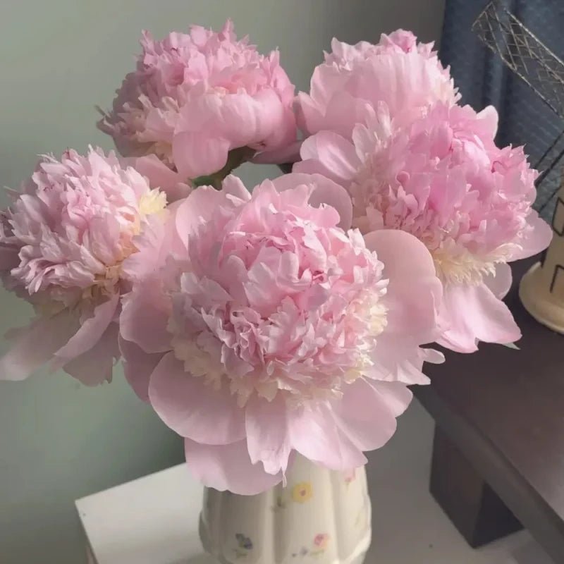 Angel Cheeks Peony Seeds - Verdseeds