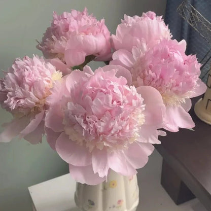 Angel Cheeks Peony Seeds - Verdseeds