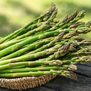Asparagus Seeds - Verdseeds