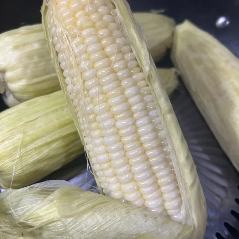 White Waxy Sweet Corn Seeds