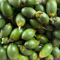 Betel Nut Palm Seeds - Verdseeds