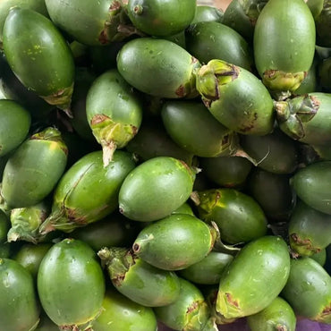 Betel Nut Palm Seeds - Verdseeds