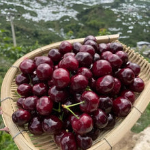 Black Pearl Sweet Cherry Seeds - Verdseeds