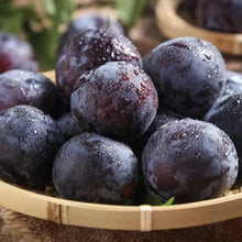 Black Plum Seeds - Verdseeds