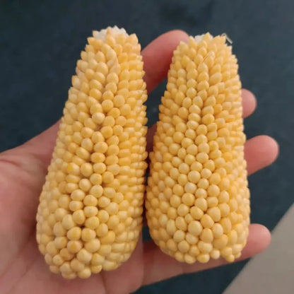 Pineapple Sweet Corn Seeds