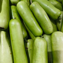 Bottle Gourd Seeds - Verdseeds