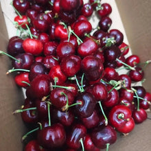 Brooks Sweet Cherry Seeds - Verdseeds