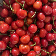 Brooks Sweet Cherry Seeds - Verdseeds