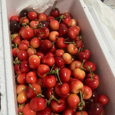 Brooks Sweet Cherry Seeds - Verdseeds
