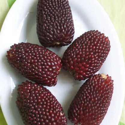 Strawberry Sweet Corn Seeds