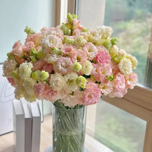 Champagne Lisianthus Seeds - Verdseeds