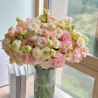 Champagne Lisianthus Seeds - Verdseeds