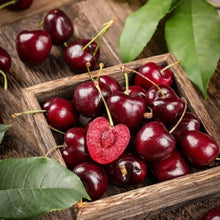 Chilean Sweet Cherry Seeds - Verdseeds