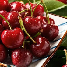 Chilean Sweet Cherry Seeds - Verdseeds