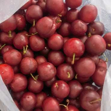 Chinese Dwarf Cherry Seeds - Verdseeds