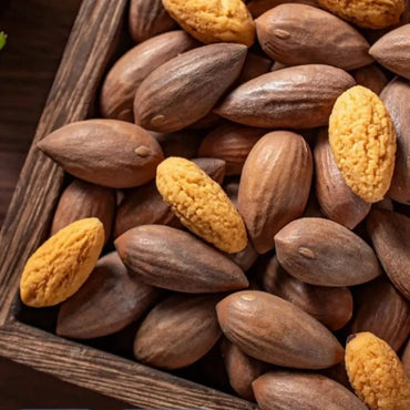 Chinese Torreya Seeds - Verdseeds