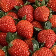 Cream Red Strawberry Seeds - Verdseeds