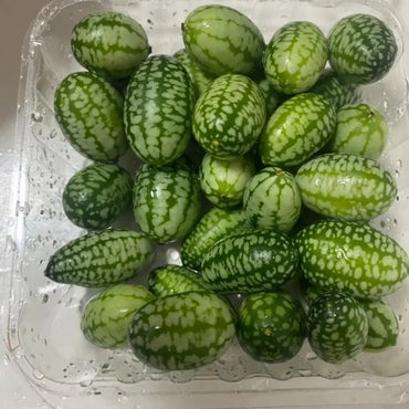 Cucamelon Seeds - Verdseeds