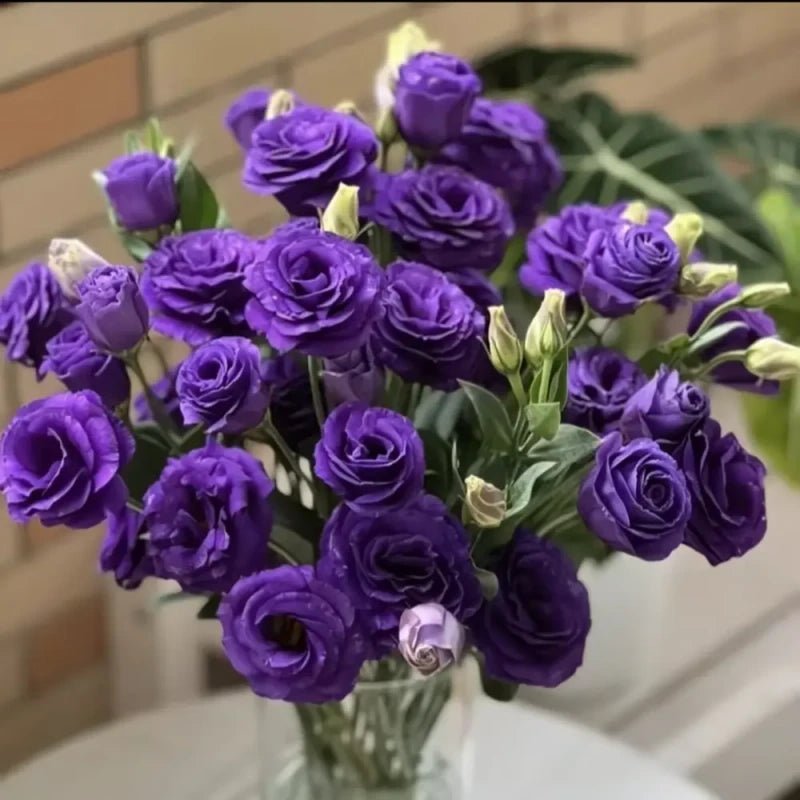 Deep Purple Lisianthus Seeds - Verdseeds