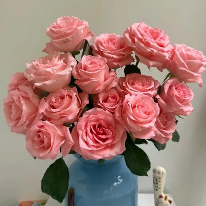 Diana Garden Rose Seeds - Verdseeds